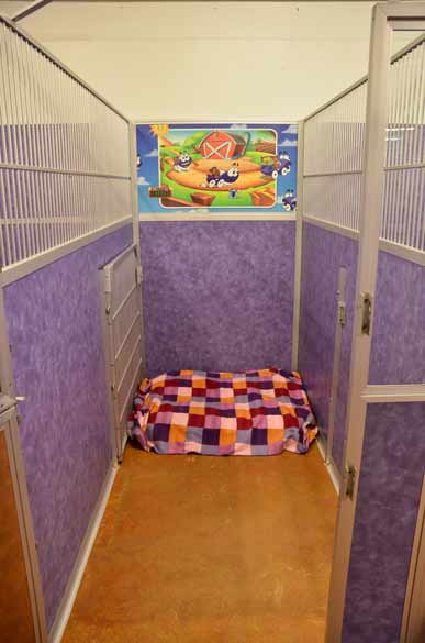 Indoor Picture of the B&B for D.O.G. — Doggie Day Care & Boarding near DIA (Denver International Airport)