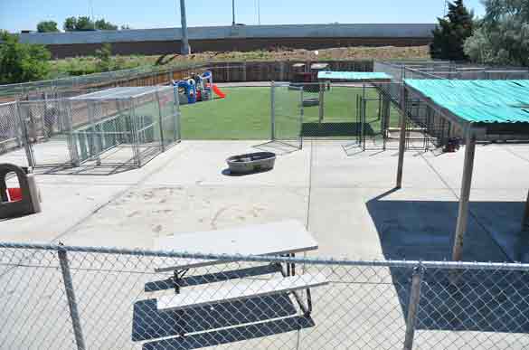 Outdoor Picture of the B&B for D.O.G. — Doggie Day Care & Boarding near DIA (Denver International Airport)