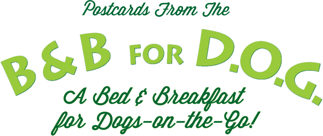 Postcards from the B&B for D.O.G.—A Bed & Breakfast for Dogs-on-the-Go!