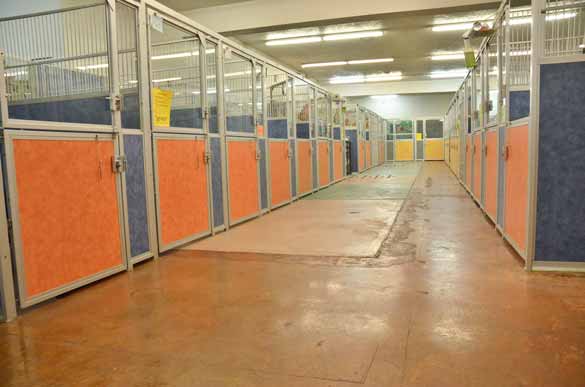 Indoor Picture of the B&B for D.O.G. — Doggie Day Care & Boarding near DIA (Denver International Airport)