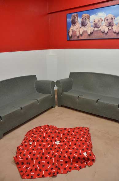 Indoor Picture of the B&B for D.O.G. — Doggie Day Care & Boarding near DIA (Denver International Airport)