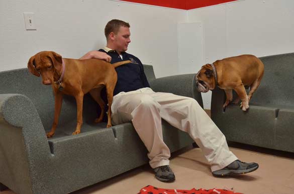 Indoor Picture of the B&B for D.O.G. — Doggie Day Care & Boarding near DIA (Denver International Airport)