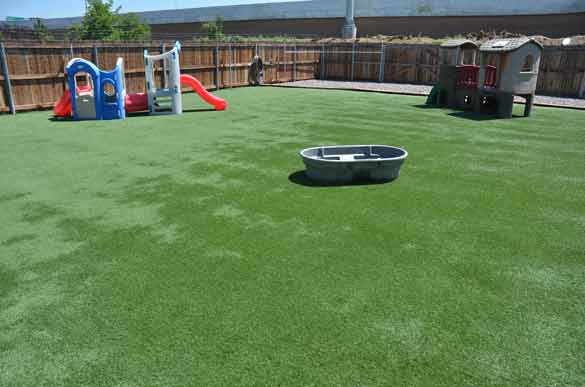 Outdoor Picture of the B&B for D.O.G. — Doggie Day Care & Boarding near DIA (Denver International Airport)