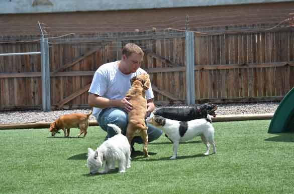 Outdoor Picture of the B&B for D.O.G. — Doggie Day Care & Boarding near DIA (Denver International Airport)