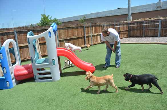 Outdoor Picture of the B&B for D.O.G. — Doggie Day Care & Boarding near DIA (Denver International Airport)
