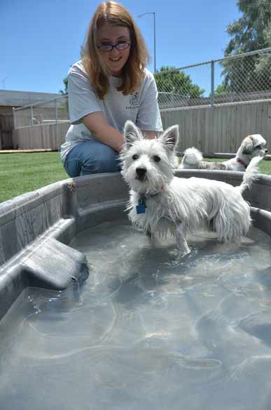 Outdoor Picture of the B&B for D.O.G. — Doggie Day Care & Boarding near DIA (Denver International Airport)