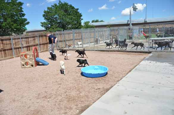 Outdoor Picture of the B&B for D.O.G. — Doggie Day Care & Boarding near DIA (Denver International Airport)