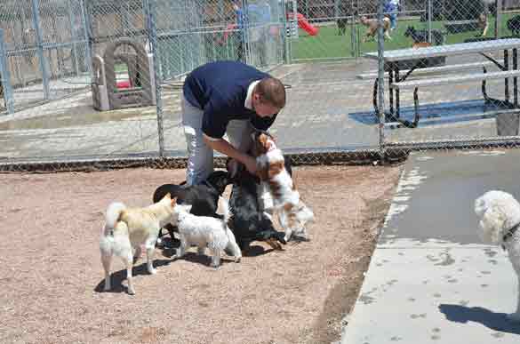 Outdoor Picture of the B&B for D.O.G. — Doggie Day Care & Boarding near DIA (Denver International Airport)