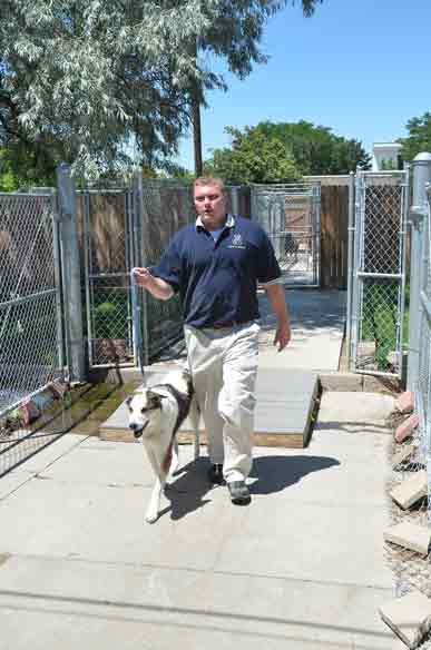Outdoor Picture of the B&B for D.O.G. — Doggie Day Care & Boarding near DIA (Denver International Airport)