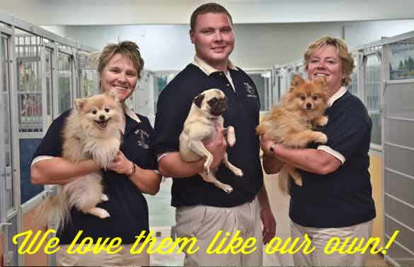 Robin Schoh, Nick Hansen & Marilyn Hartshorn — Owners of the B&B for D.O.G.